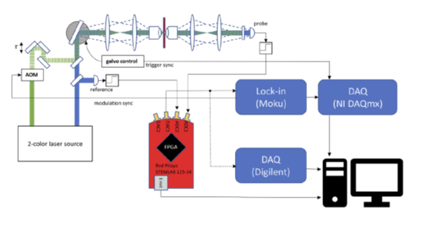 DR-RINS: Digital real-time relative intensity noise suppressor for pump–probe spectroscopy and microscopy